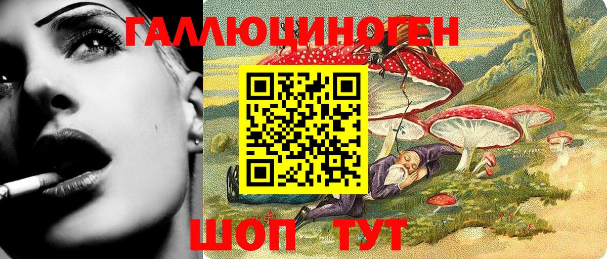 Таганрог  Псилоцибиновые грибы MAGIC MUSHROOMS  Вход с VPN  Псилоцибиновые грибы прущие грибы 